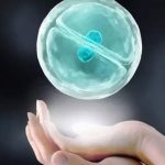 单身男性如何拥有孩子