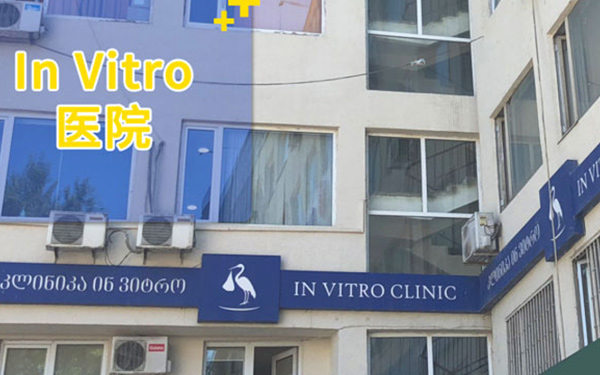 格鲁吉亚Invitro医院