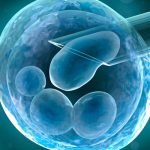 肯尼亚供卵代孕