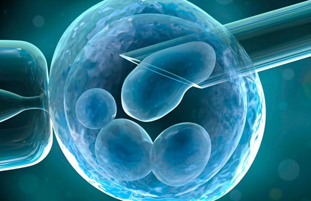 肯尼亚供卵代孕