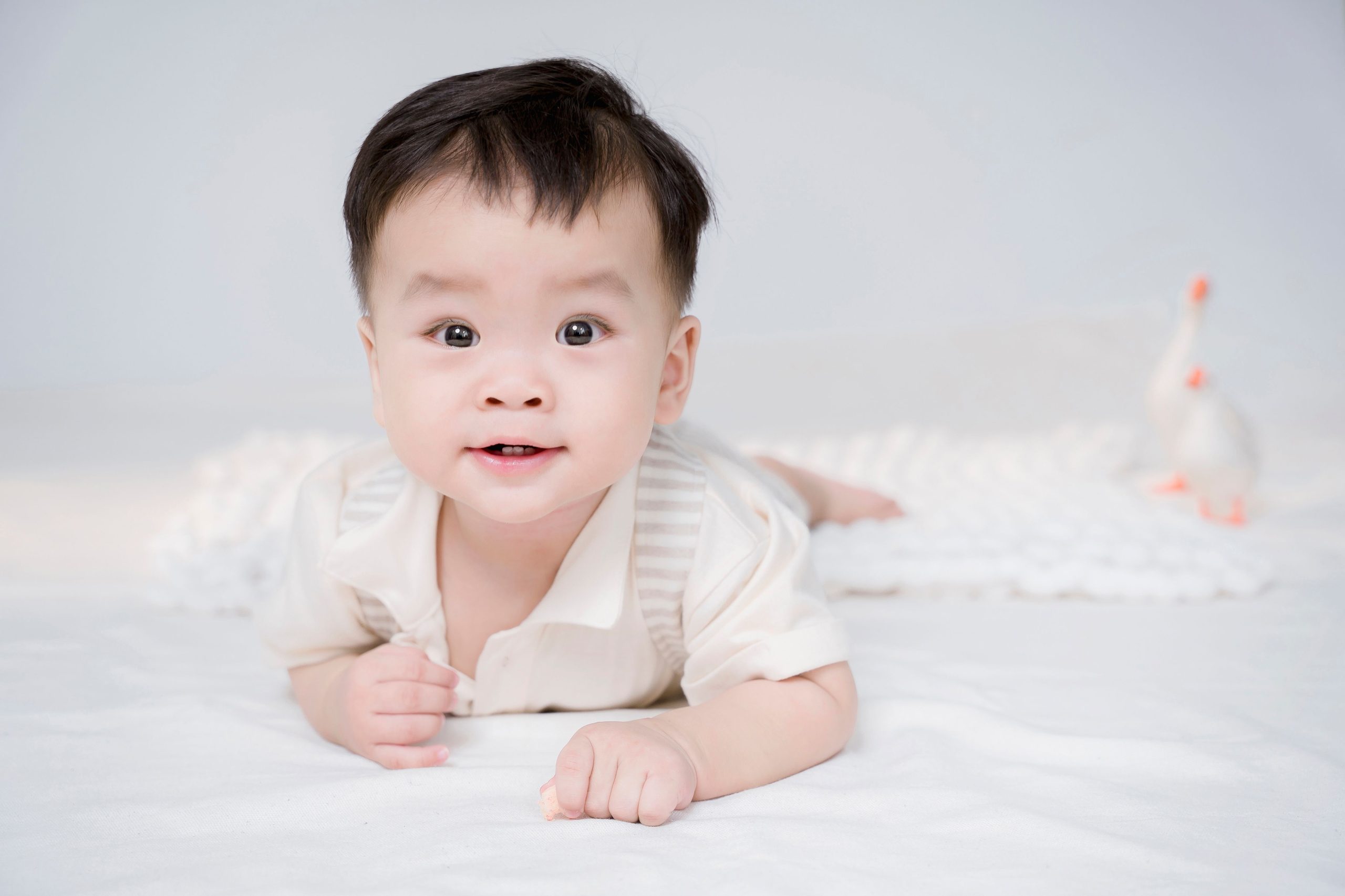 代孕费用大概多少